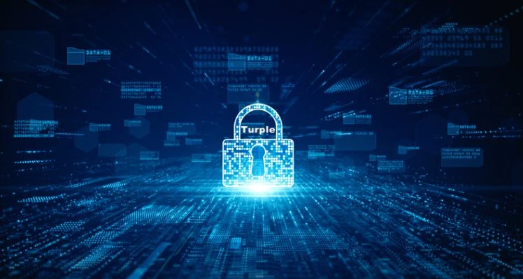 Cisco networking solutions by Turple in Halifax